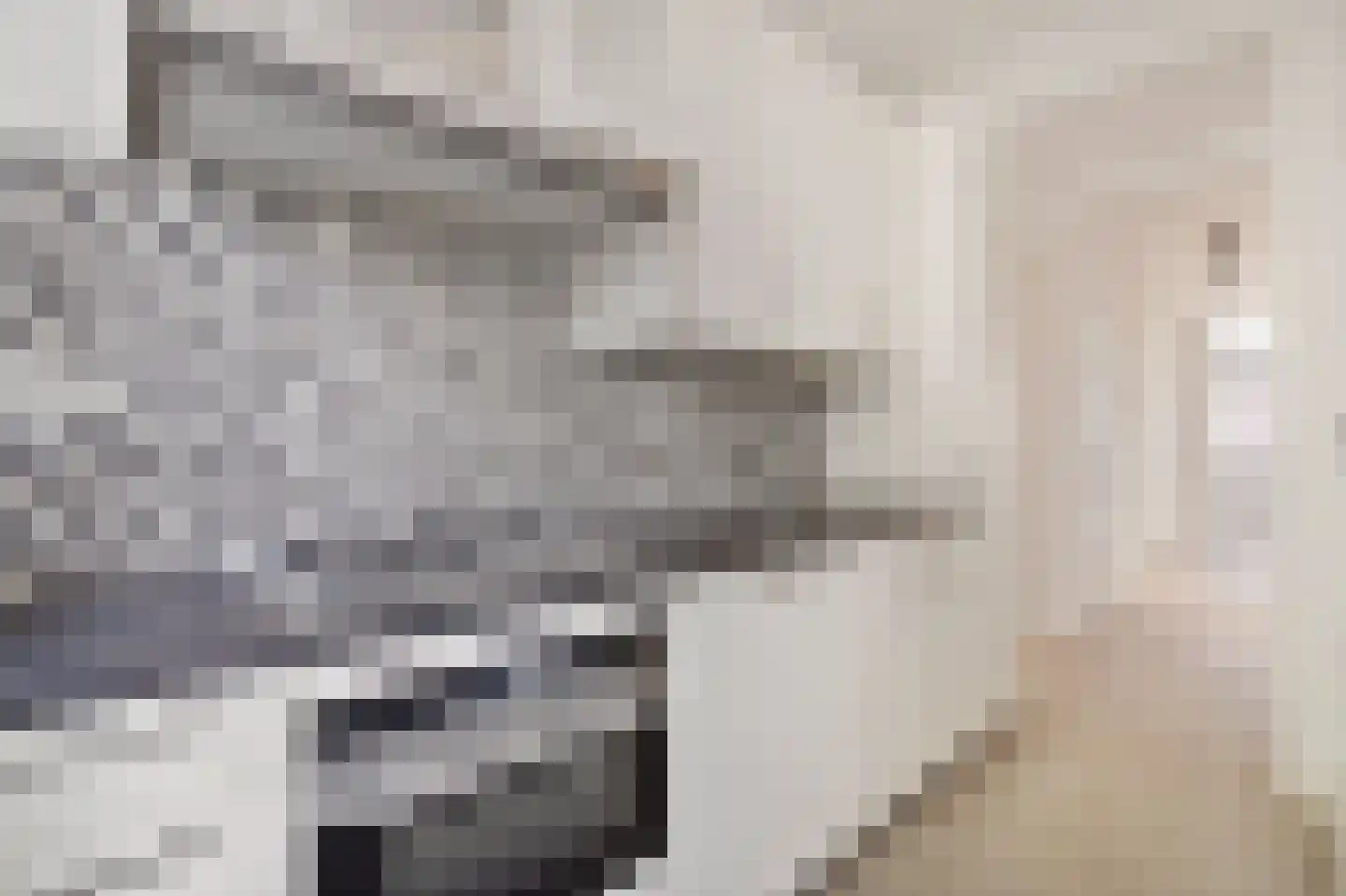 Cornelis van der Lijnstraat 11 Den Haag thumbnail 8