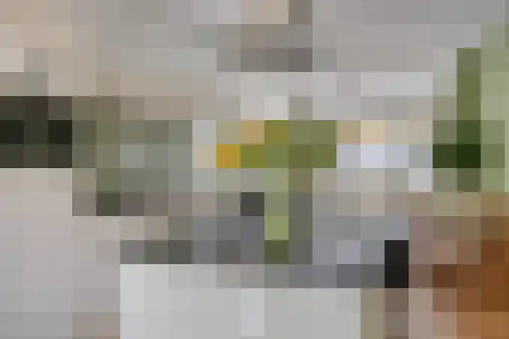 Cornelis van der Lijnstraat 177 B Den Haag thumbnail 14