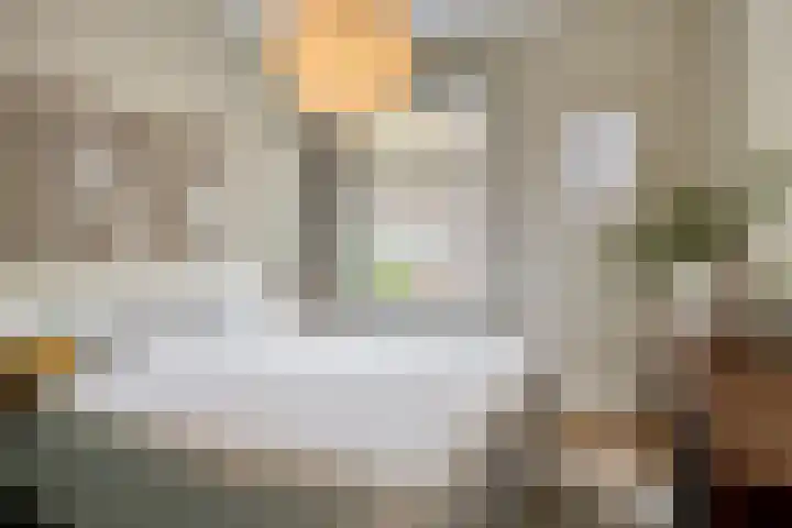 Cornelis van der Lijnstraat 177 B Den Haag thumbnail 26