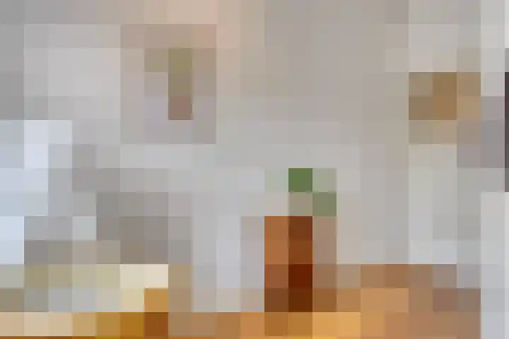 Cornelis van der Lijnstraat 177 B Den Haag thumbnail 27
