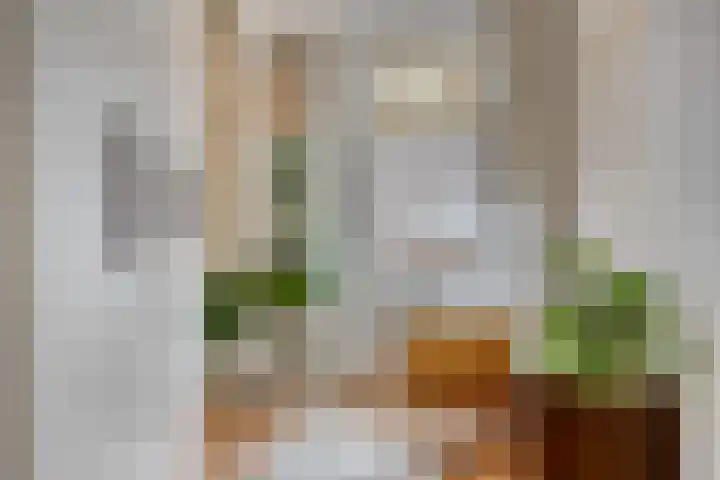 Cornelis van der Lijnstraat 177 B Den Haag thumbnail 5
