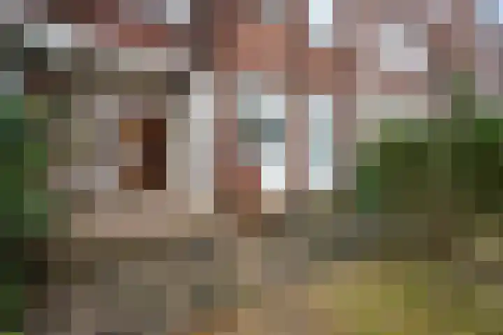 Cornelis van der Lijnstraat 179 Den Haag thumbnail 18