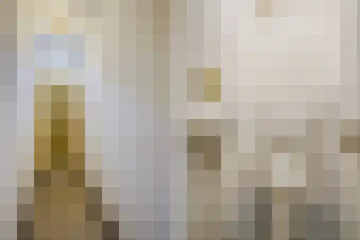 Cornelis van der Lijnstraat 179 Den Haag thumbnail 8