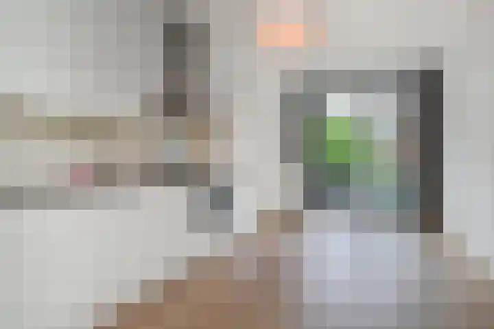 Cornelis van der Lijnstraat 21 Den Haag thumbnail 10