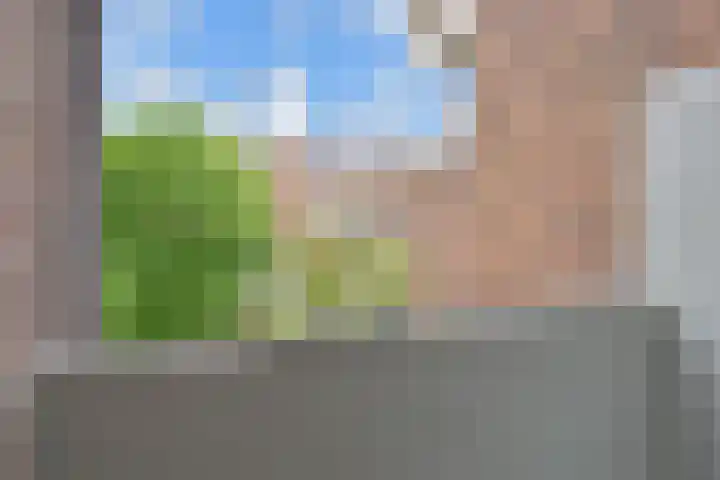 Cornelis van der Lijnstraat 21 Den Haag thumbnail 13