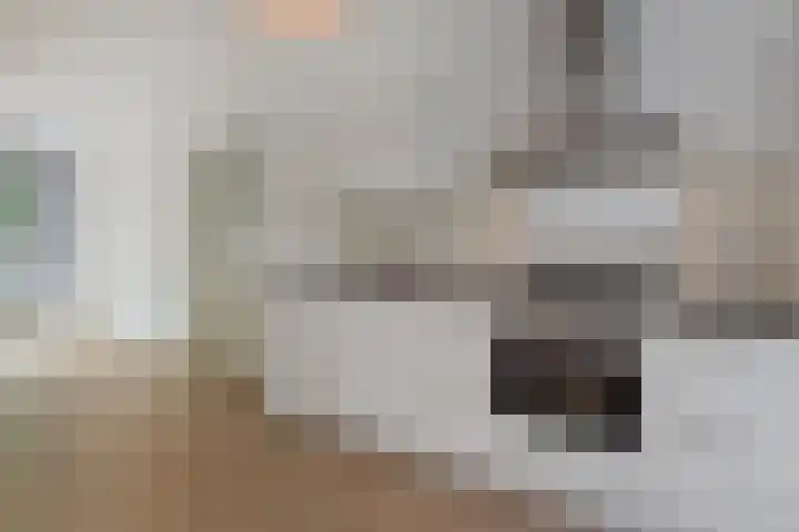 Cornelis van der Lijnstraat 21 Den Haag thumbnail 16