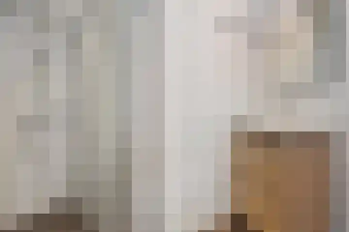 Cornelis van der Lijnstraat 21 Den Haag thumbnail 22