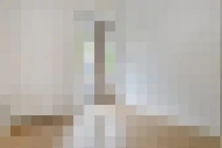 Cornelis van der Lijnstraat 21 Den Haag thumbnail 26