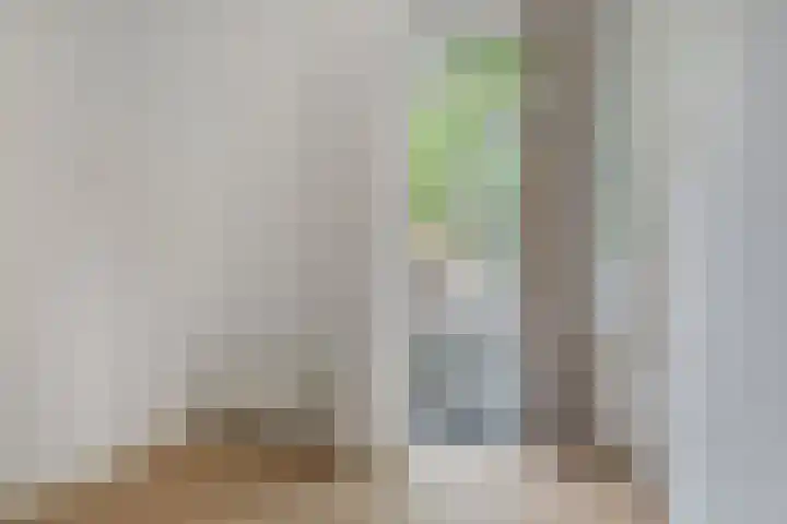 Cornelis van der Lijnstraat 21 Den Haag thumbnail 27