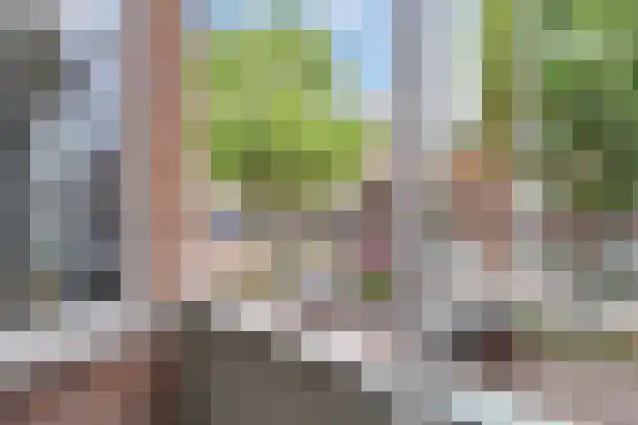 Cornelis van der Lijnstraat 21 Den Haag thumbnail 28