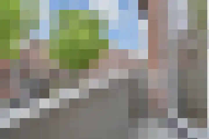 Cornelis van der Lijnstraat 21 Den Haag thumbnail 29