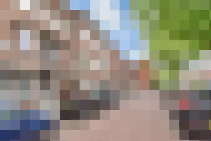 Cornelis van der Lijnstraat 21 Den Haag thumbnail 33