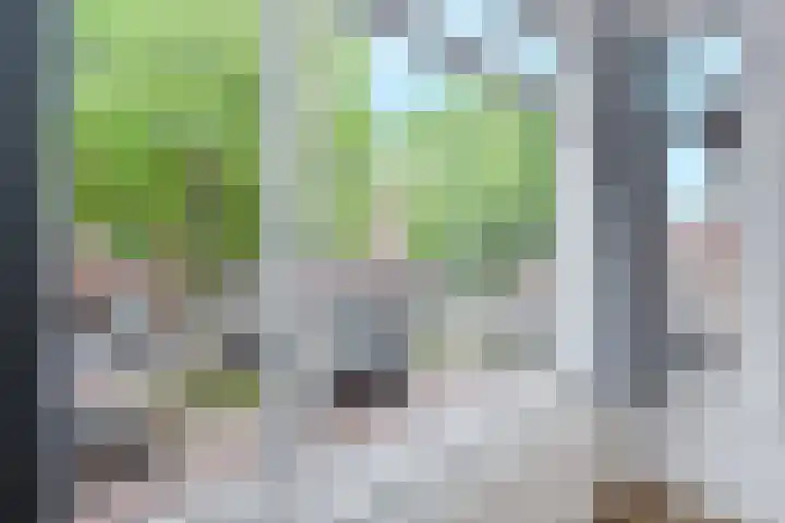 Cornelis van der Lijnstraat 21 Den Haag thumbnail 7