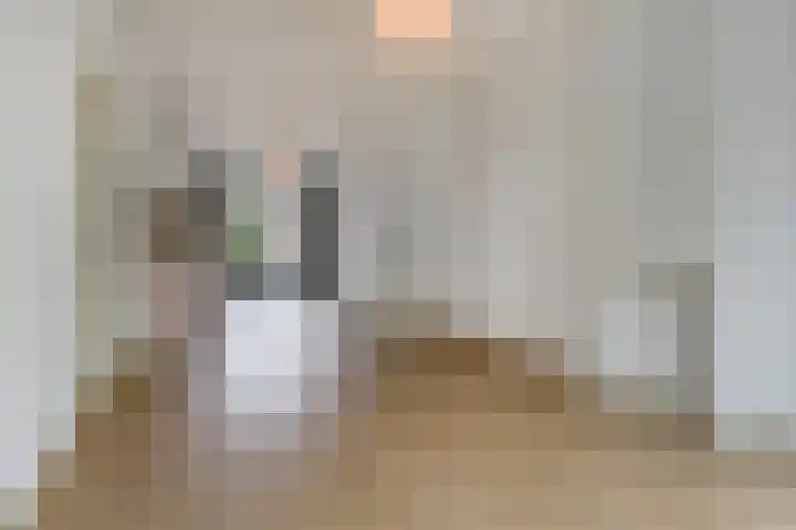 Cornelis van der Lijnstraat 21 Den Haag thumbnail 8