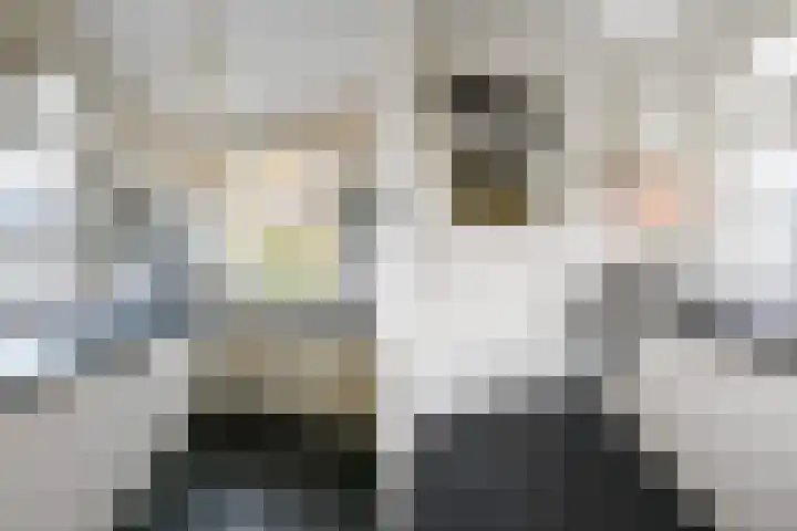 Cornelis van der Lijnstraat 211 Den Haag thumbnail 13