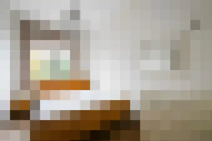 Cornelis van der Lijnstraat 211 Den Haag thumbnail 15