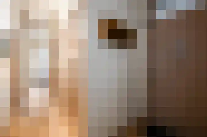 Cornelis van der Lijnstraat 211 Den Haag thumbnail 23