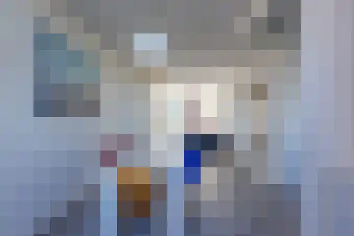 Cornelis van der Lijnstraat 23 Den Haag thumbnail 14