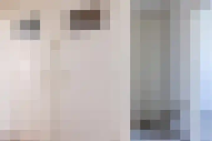 Cornelis van der Lijnstraat 23 Den Haag thumbnail 15