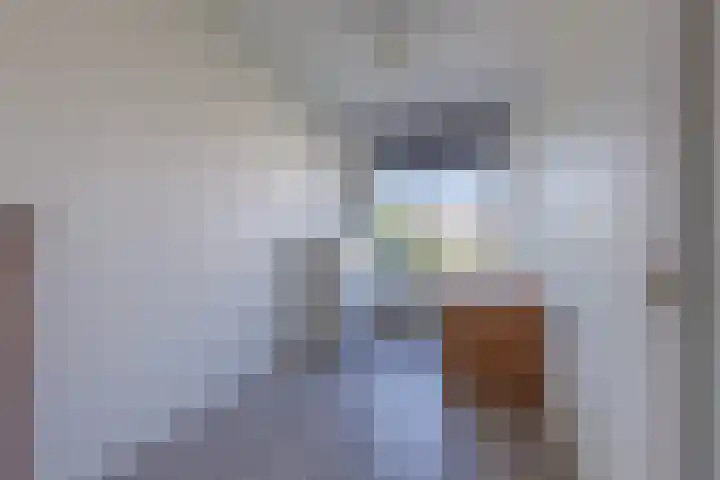 Cornelis van der Lijnstraat 23 Den Haag thumbnail 19