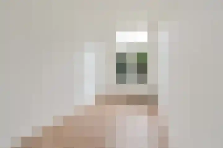 Cornelis van der Lijnstraat 31 Den Haag thumbnail 14