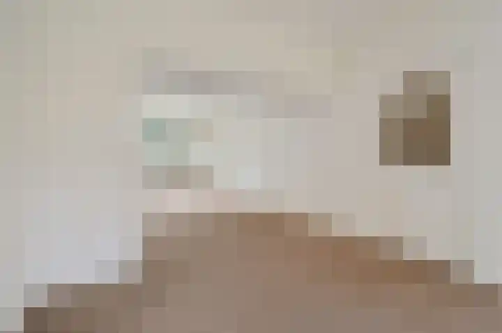 Cornelis van der Lijnstraat 31 Den Haag thumbnail 16