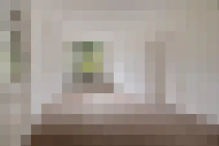 Cornelis van der Lijnstraat 31 Den Haag thumbnail 19