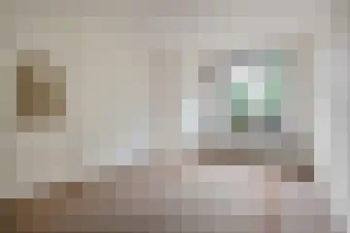 Cornelis van der Lijnstraat 31 Den Haag thumbnail 20