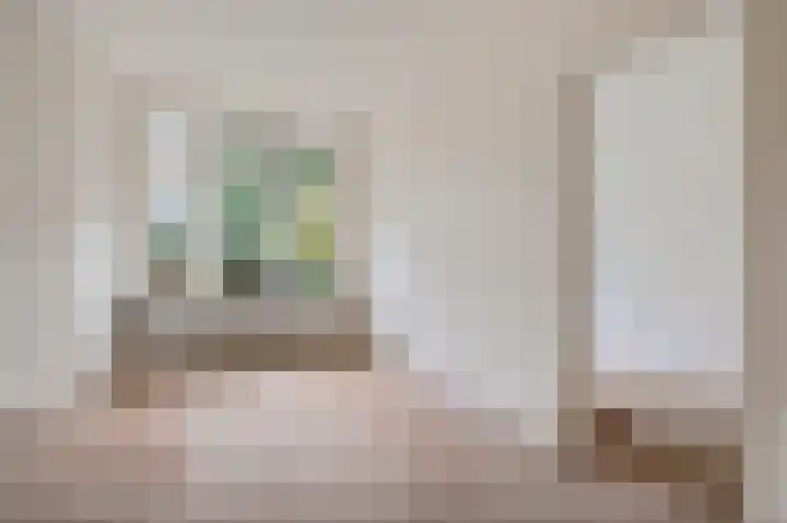 Cornelis van der Lijnstraat 31 Den Haag thumbnail 23
