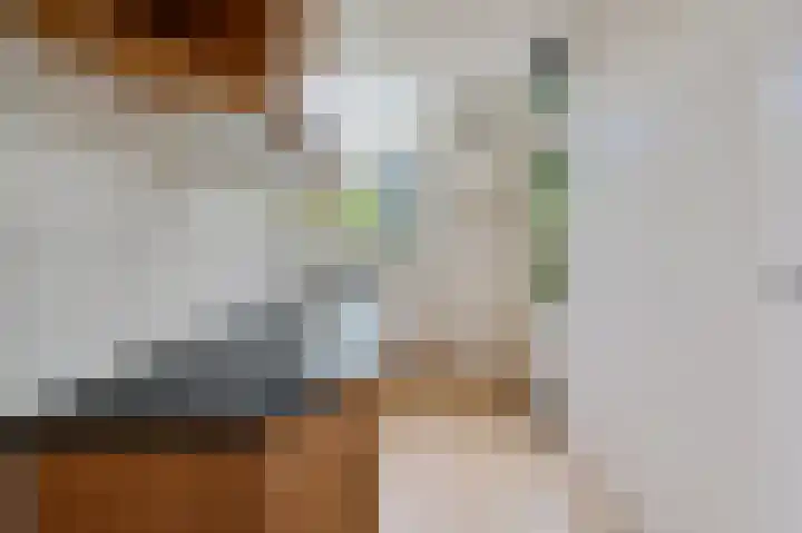 Cornelis van der Lijnstraat 31 Den Haag thumbnail 27
