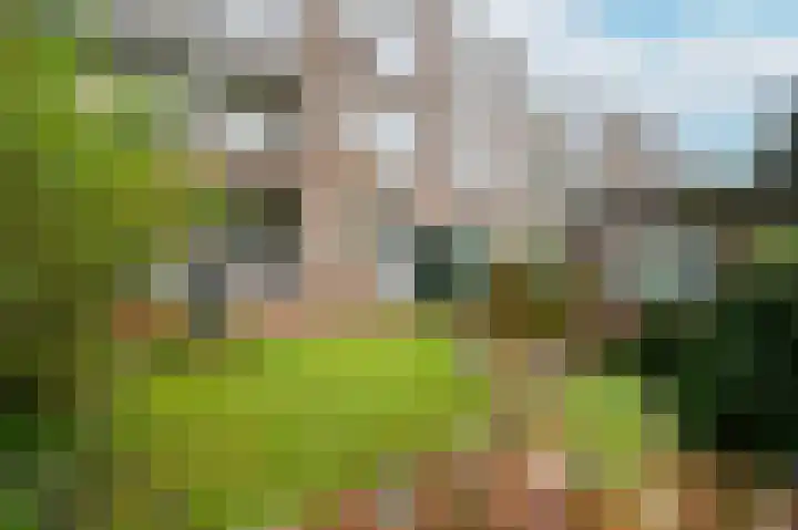 Cornelis van der Lijnstraat 31 Den Haag thumbnail 34