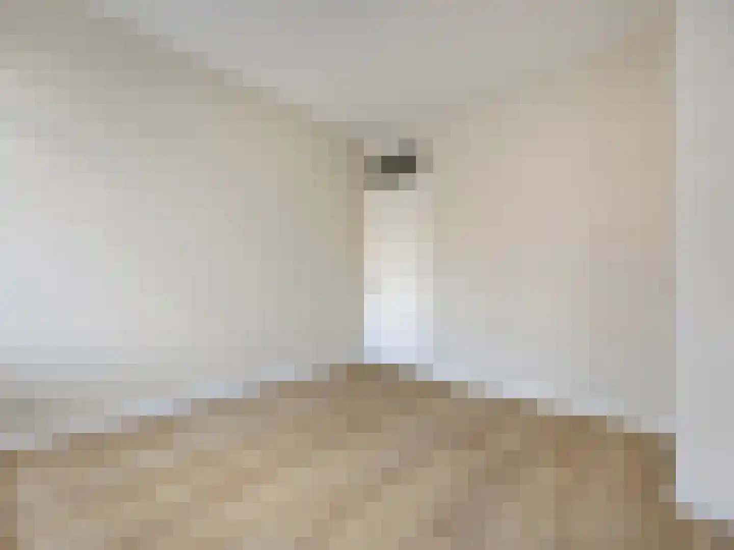 Cornelis van der Lijnstraat 5 D Den Haag thumbnail 10