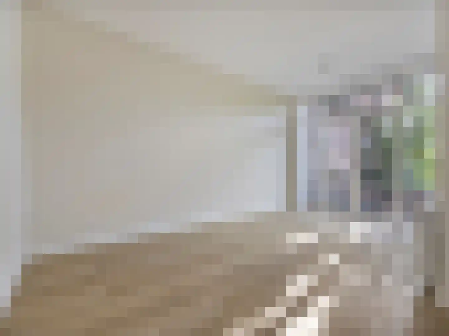 Cornelis van der Lijnstraat 5 D Den Haag thumbnail 11