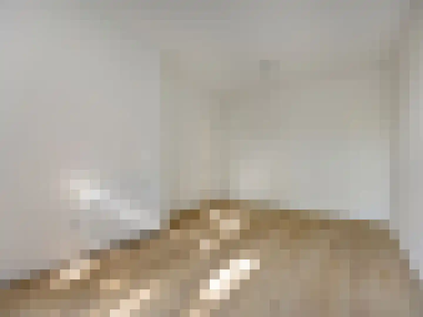 Cornelis van der Lijnstraat 5 D Den Haag thumbnail 12