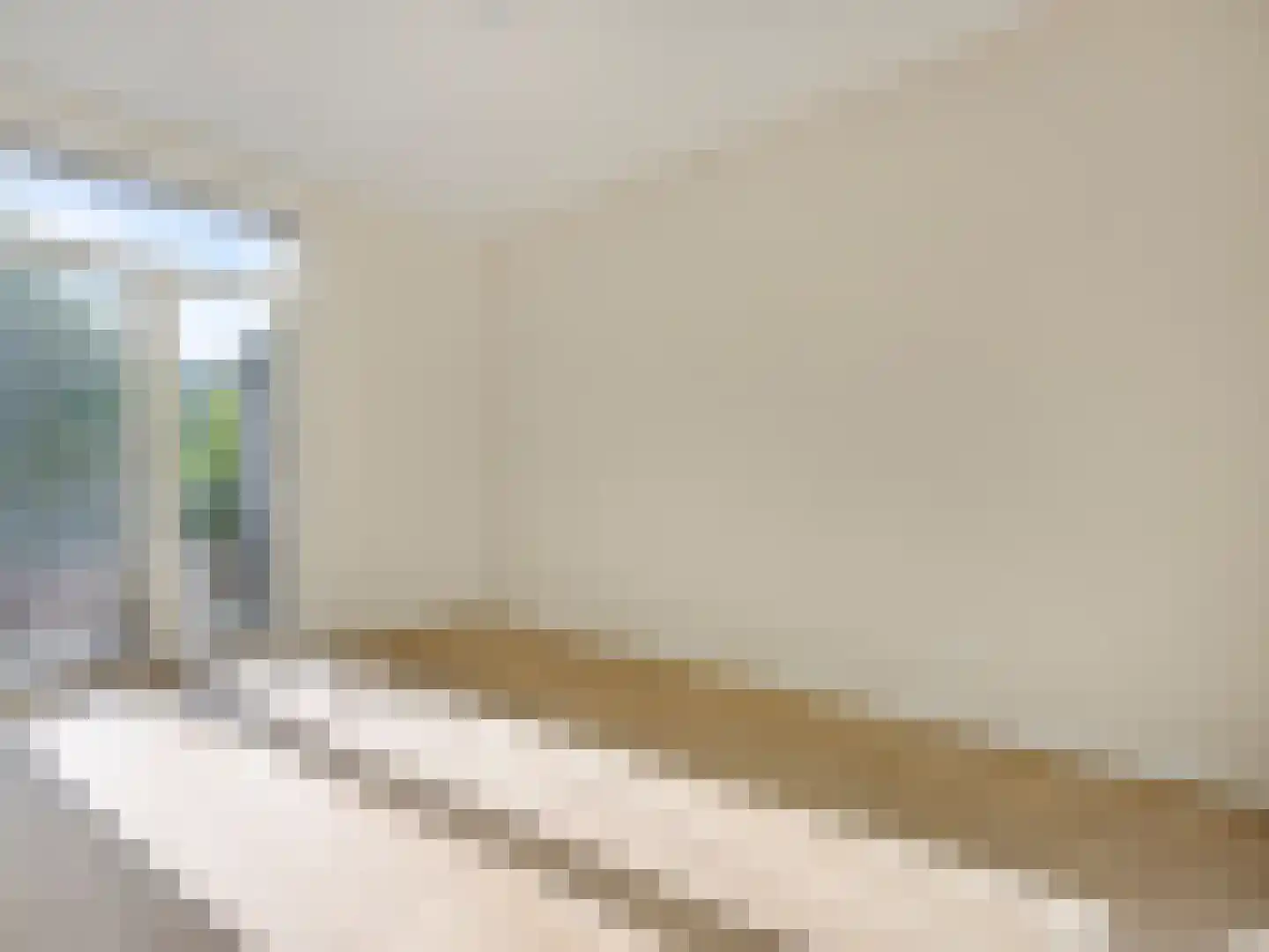 Cornelis van der Lijnstraat 5 D Den Haag thumbnail 13