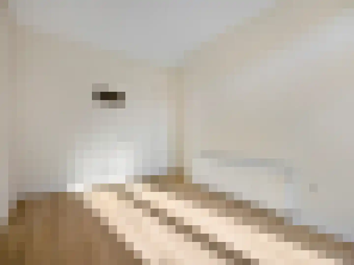 Cornelis van der Lijnstraat 5 D Den Haag thumbnail 14
