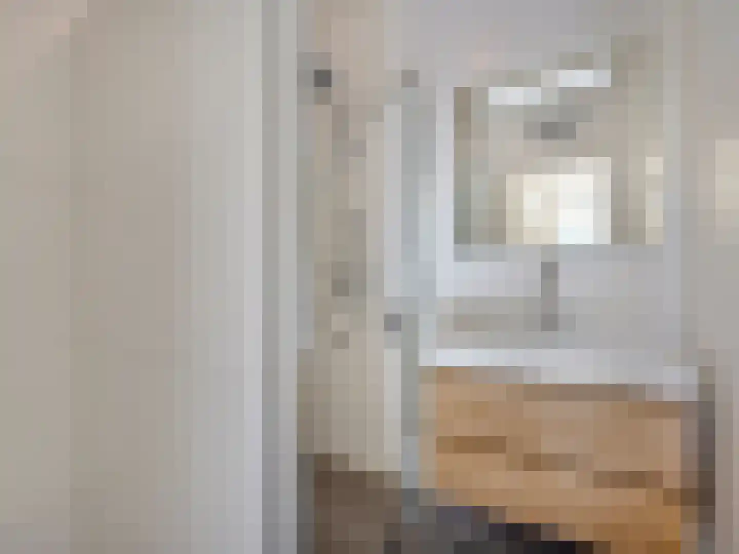 Cornelis van der Lijnstraat 5 D Den Haag thumbnail 15
