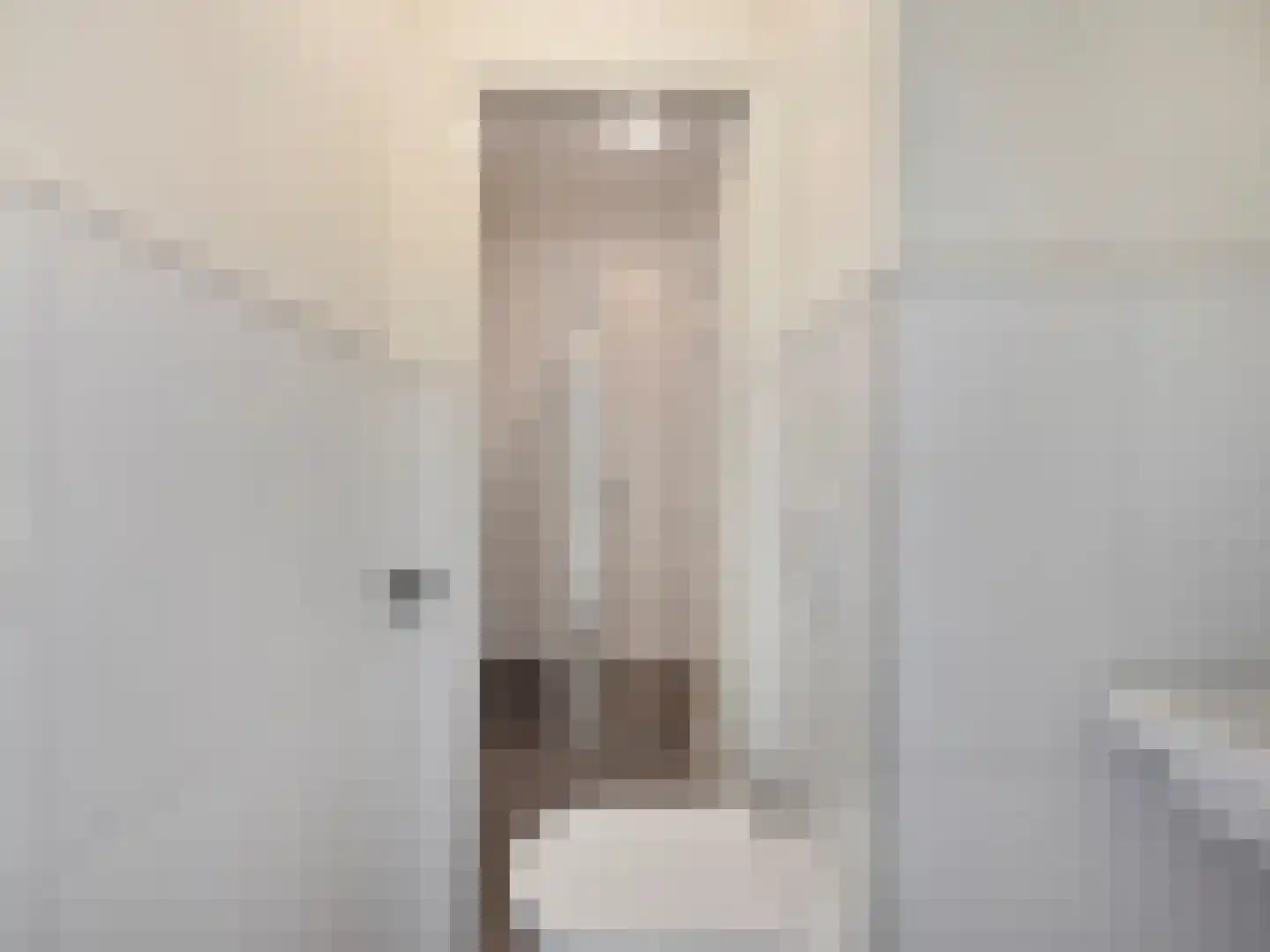 Cornelis van der Lijnstraat 5 D Den Haag thumbnail 16