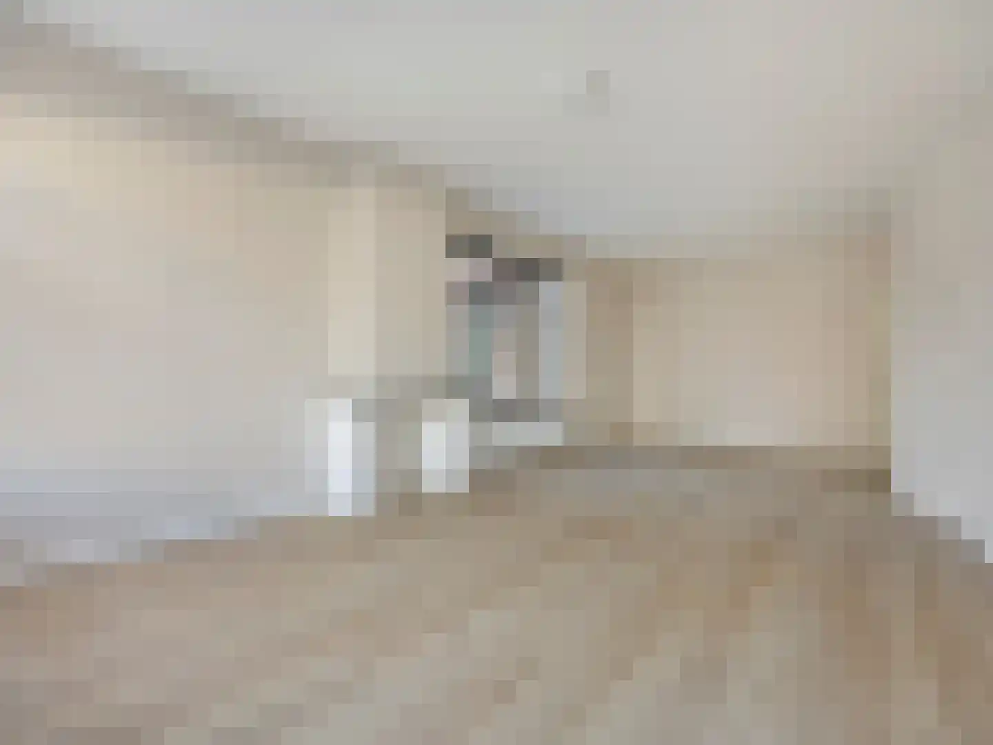 Cornelis van der Lijnstraat 5 D Den Haag thumbnail 4