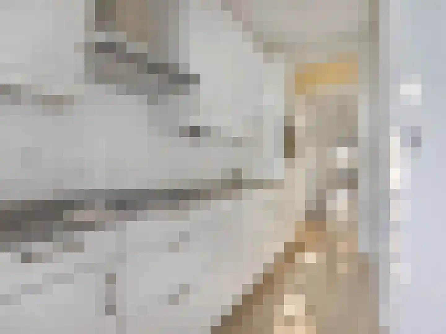 Cornelis van der Lijnstraat 5 D Den Haag thumbnail 7