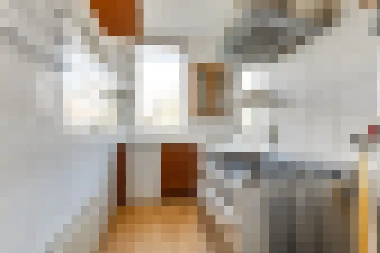 Cornelis van der Lijnstraat 69 Den Haag thumbnail 15