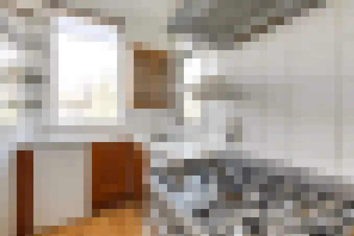 Cornelis van der Lijnstraat 69 Den Haag thumbnail 16