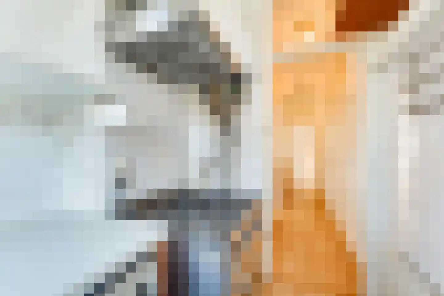 Cornelis van der Lijnstraat 69 Den Haag thumbnail 17