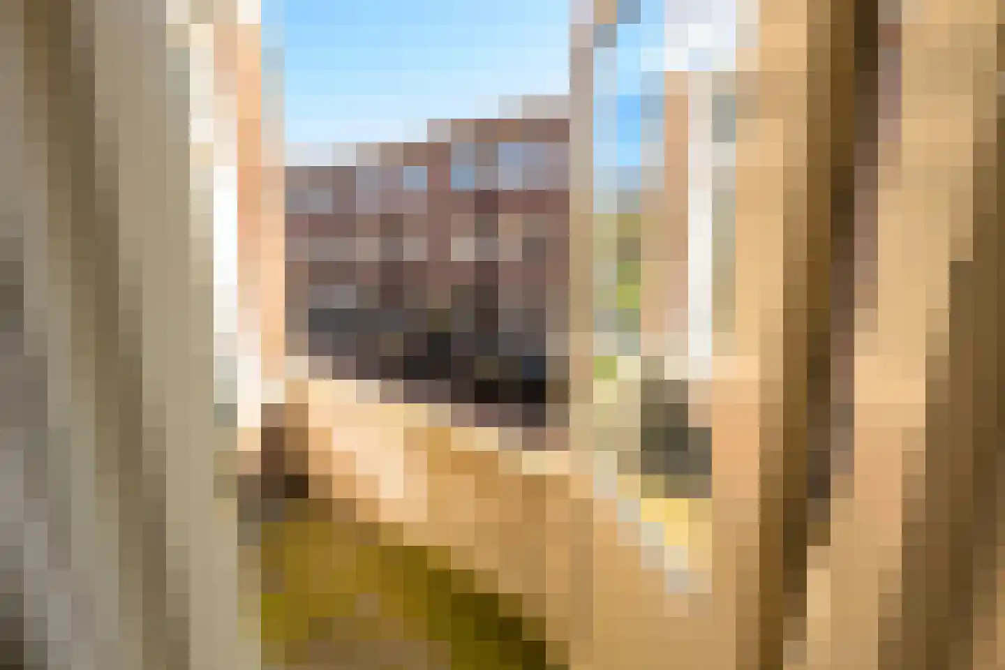 Cornelis van der Lijnstraat 69 Den Haag thumbnail 20