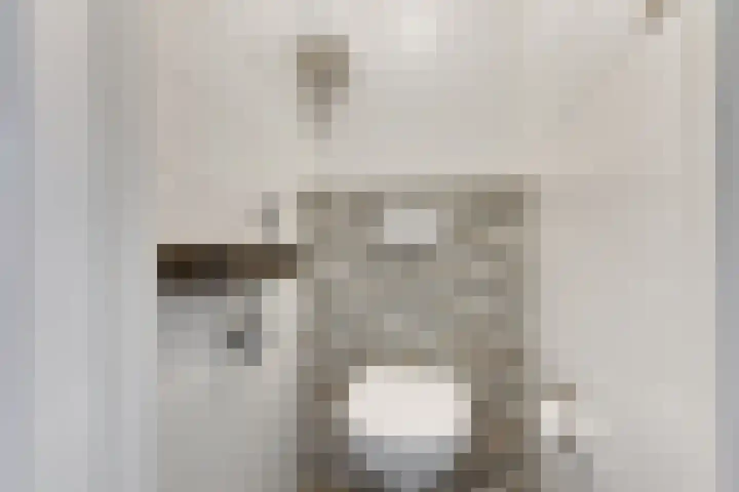 Cornelis van der Lijnstraat 69 Den Haag thumbnail 8