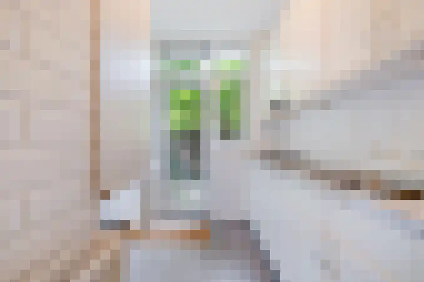 Cornelis van der Lijnstraat 7 Den Haag thumbnail 11
