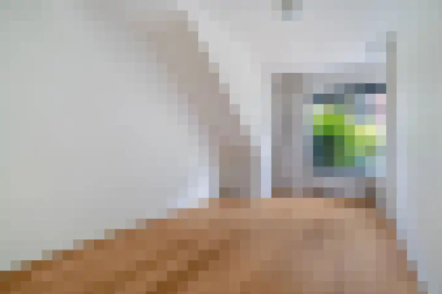 Cornelis van der Lijnstraat 7 Den Haag thumbnail 19