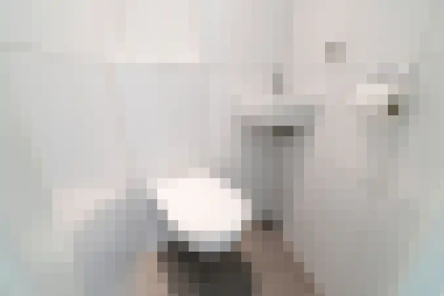 Cornelis van der Lijnstraat 7 Den Haag thumbnail 24