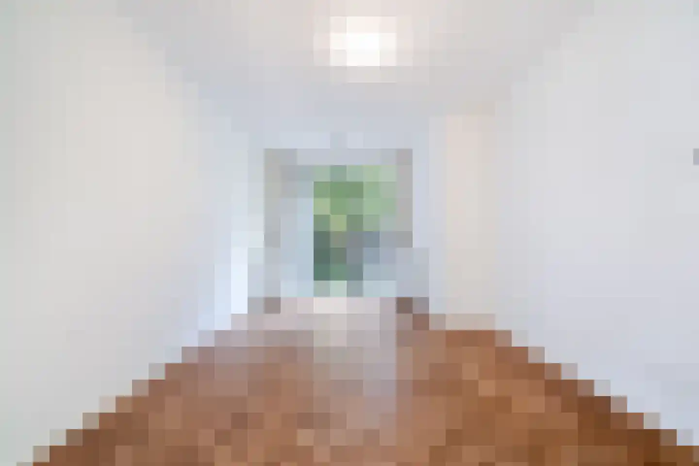 Cornelis van der Lijnstraat 7 Den Haag thumbnail 5