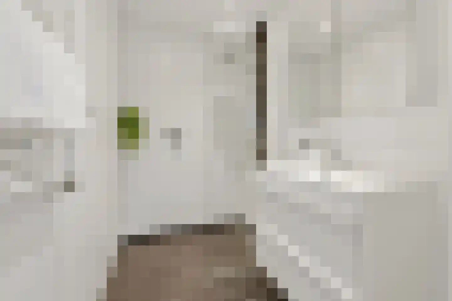 Cornelis van der Lijnstraat 71 Den Haag thumbnail 12
